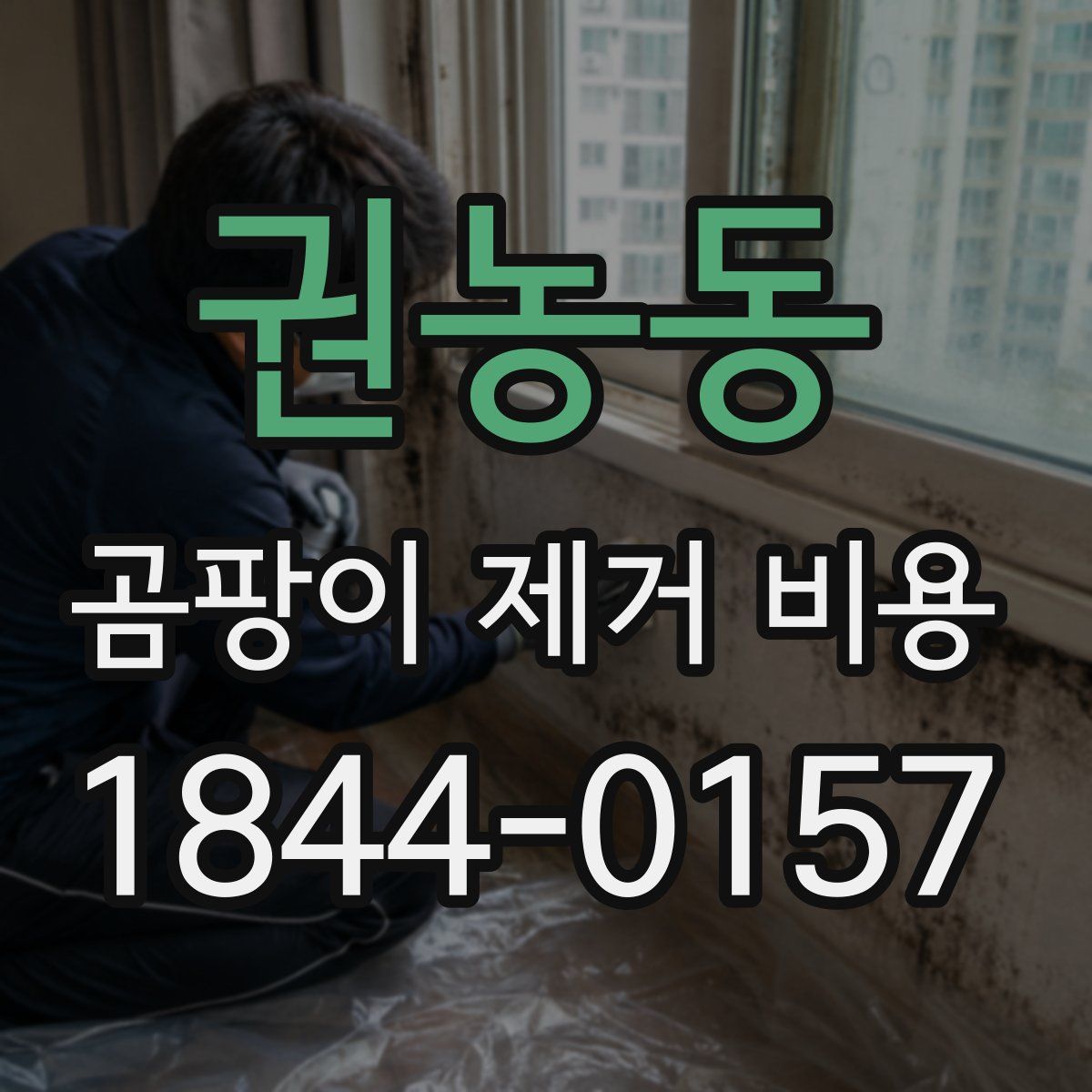 권농동 곰팡이 제거 비용