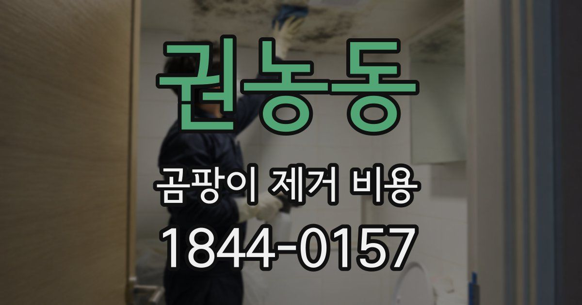 권농동 곰팡이 제거 비용