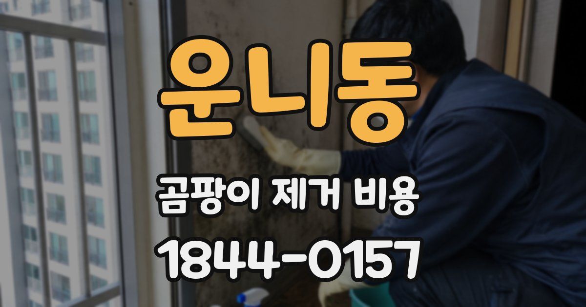 운니동 곰팡이 제거 비용