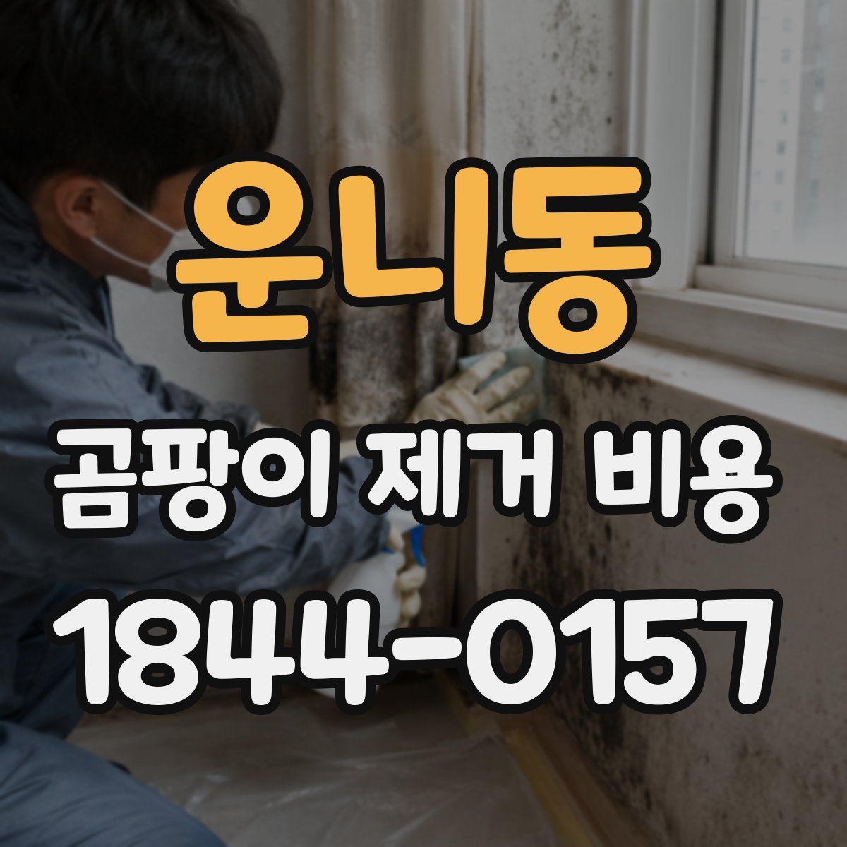 운니동 곰팡이 제거 비용