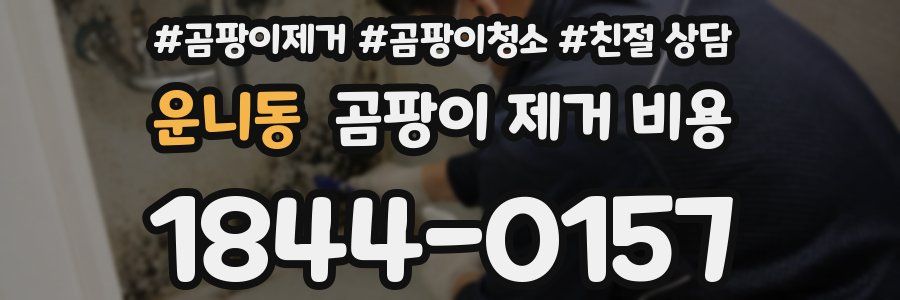 운니동 곰팡이 제거 비용