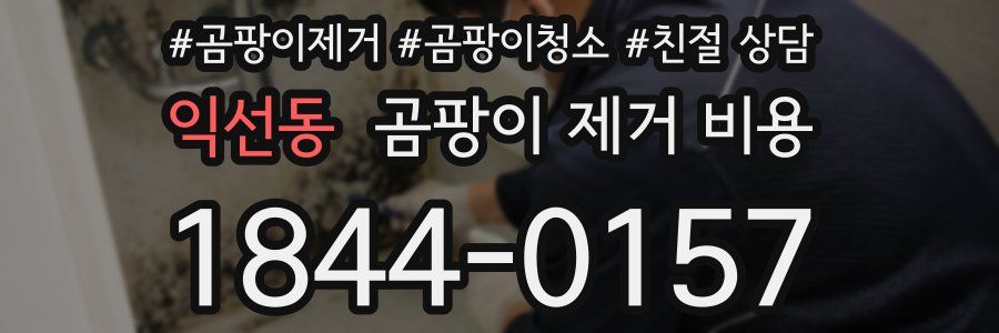 익선동 곰팡이 제거 비용
