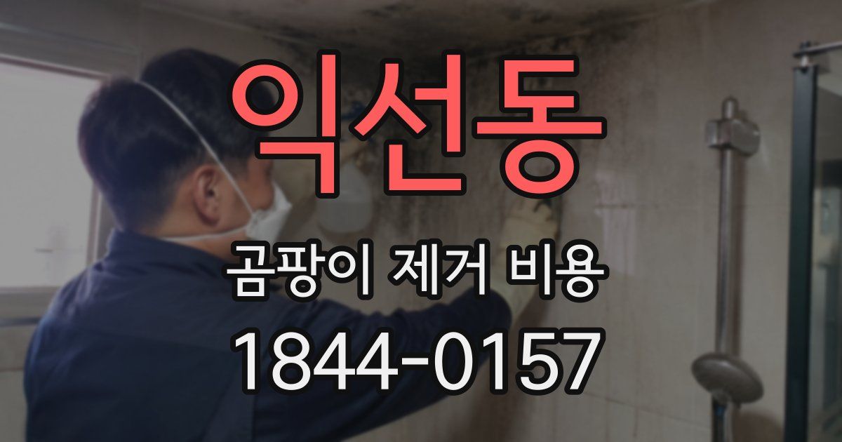 익선동 곰팡이 제거 비용