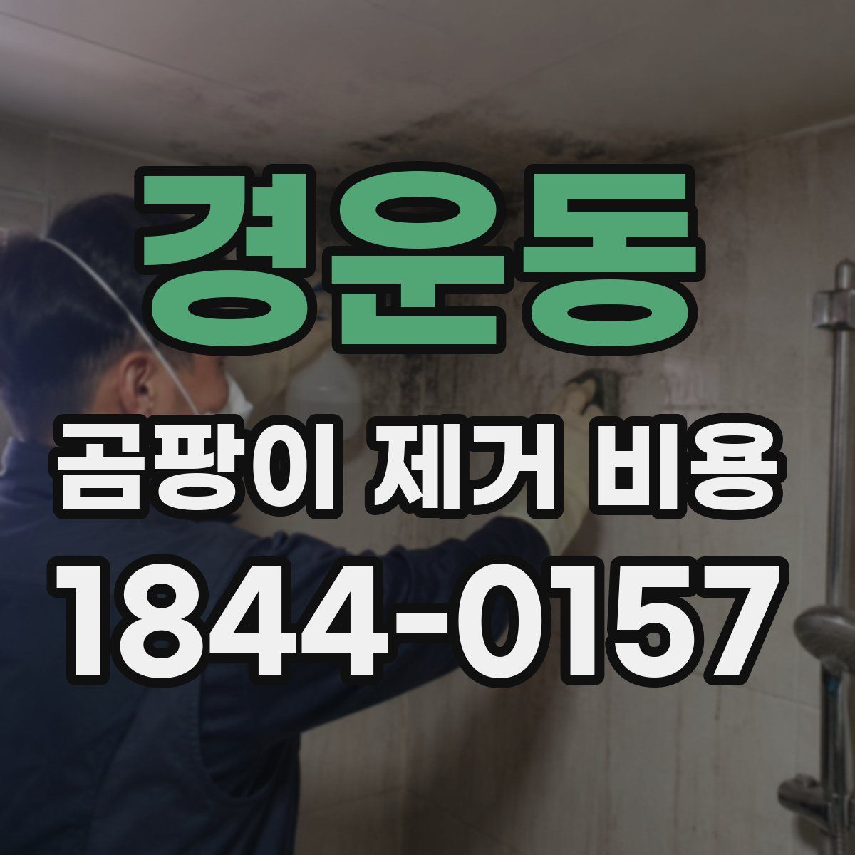 경운동 곰팡이 제거 비용