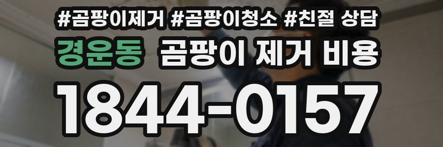 경운동 곰팡이 제거 비용