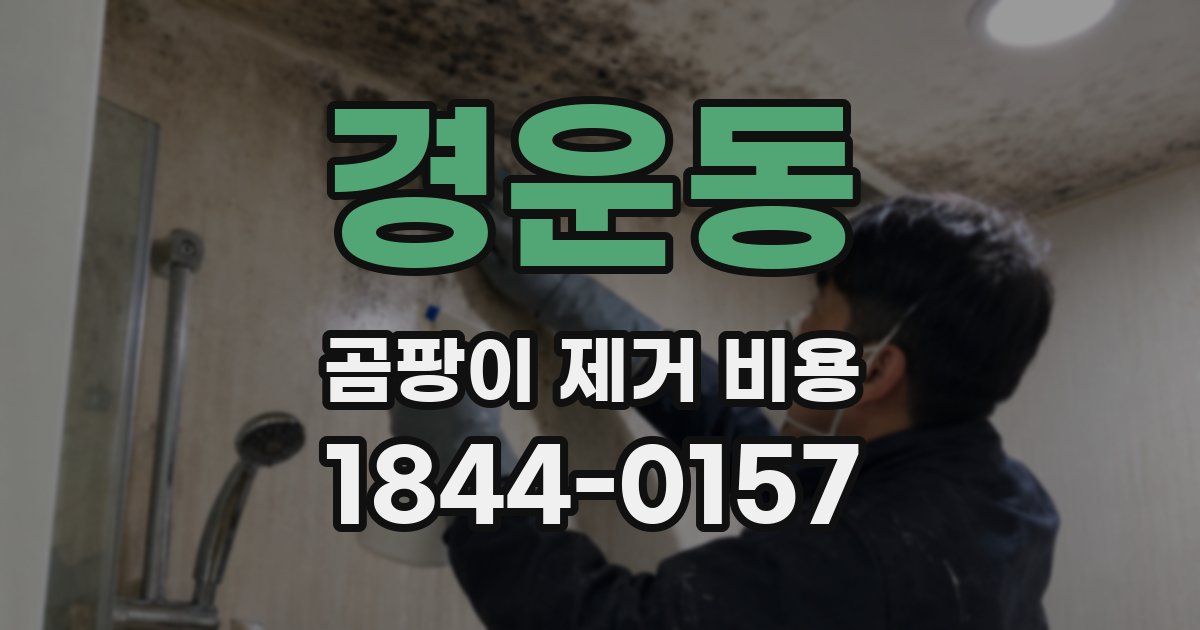 경운동 곰팡이 제거 비용