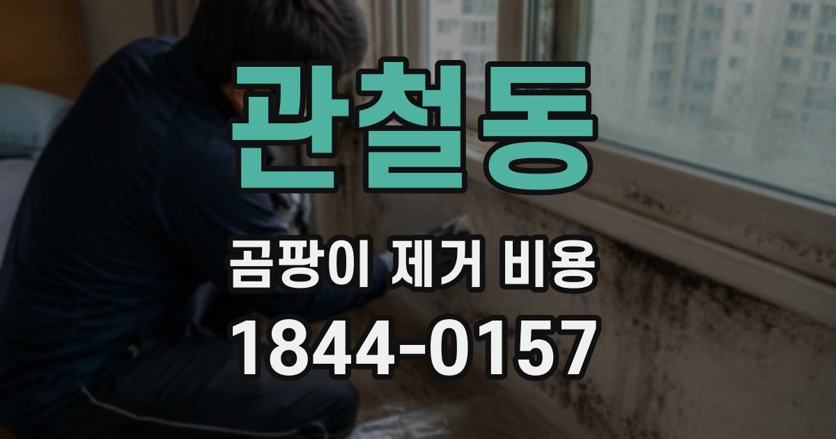 관철동 곰팡이 제거 비용