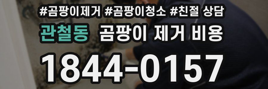 관철동 곰팡이 제거 비용