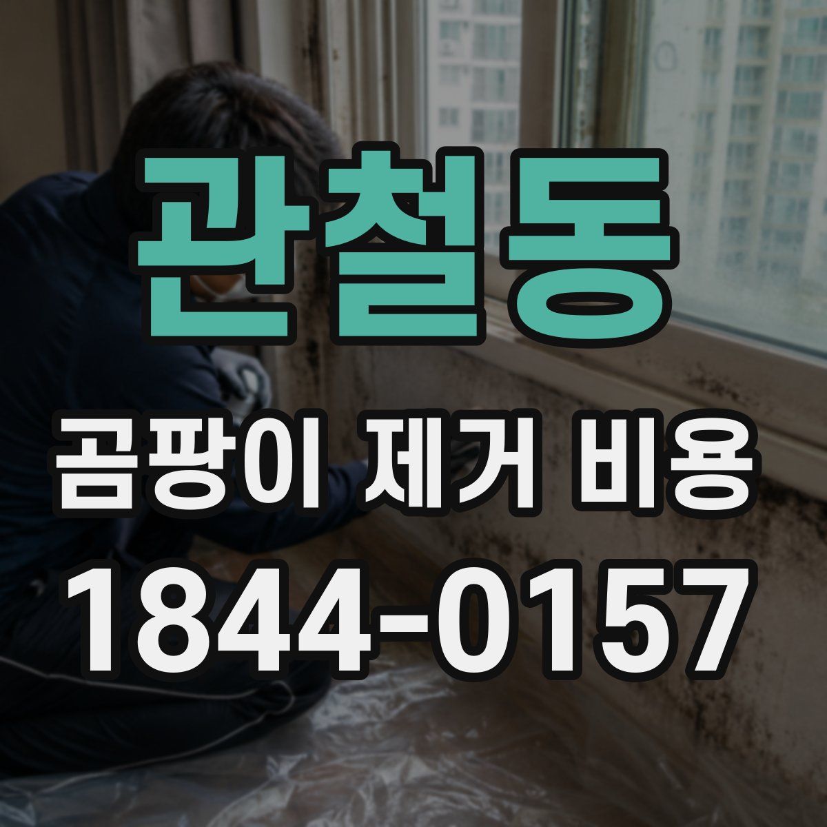 관철동 곰팡이 제거 비용