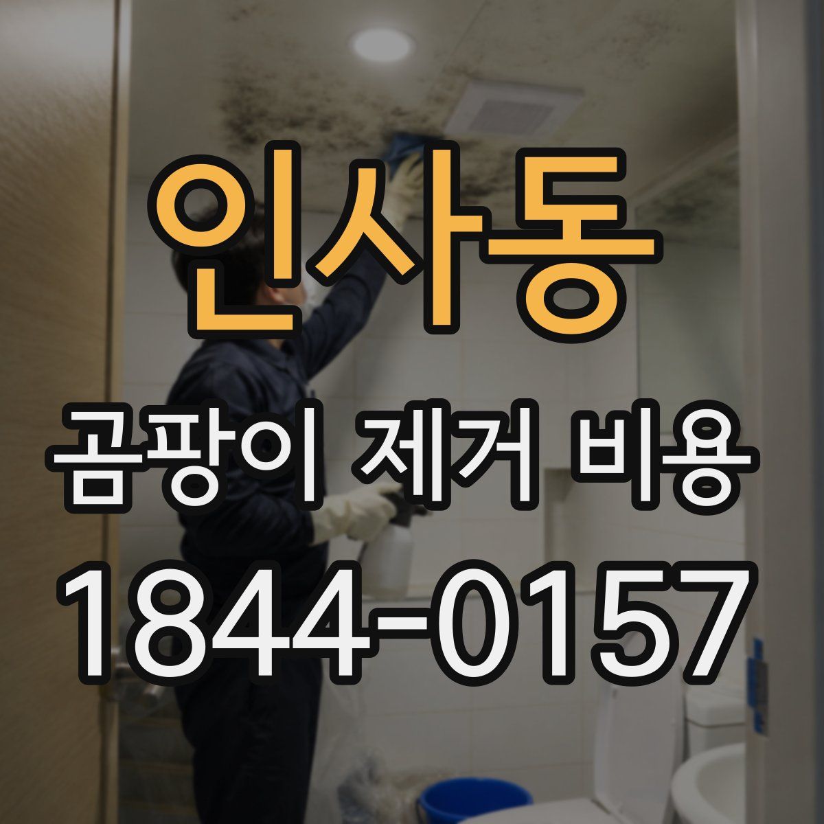 인사동 곰팡이 제거 비용