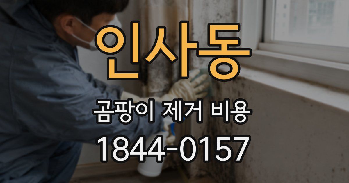 인사동 곰팡이 제거 비용