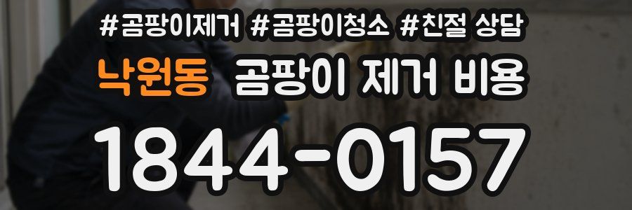 낙원동 곰팡이 제거 비용