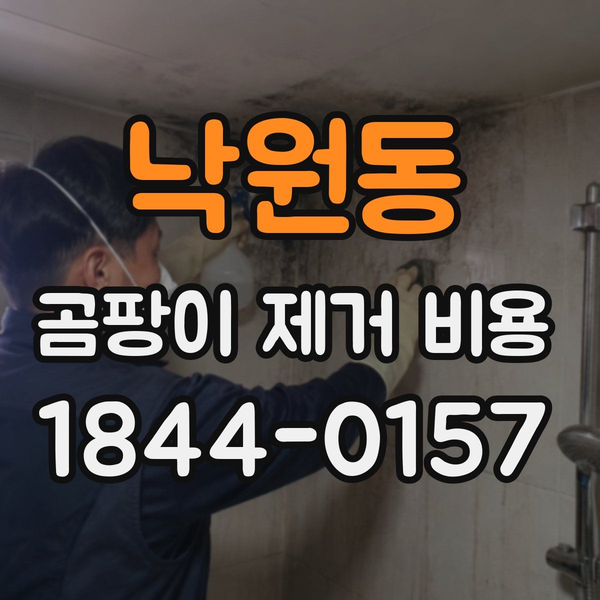낙원동 곰팡이 제거 비용