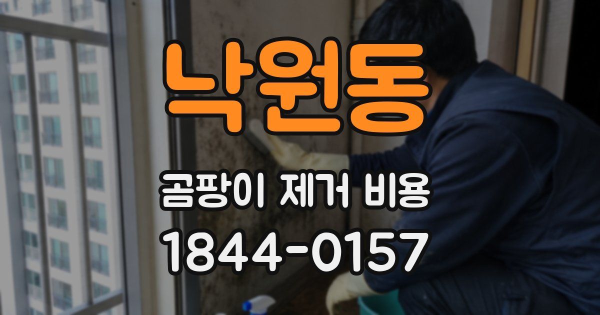 낙원동 곰팡이 제거 비용