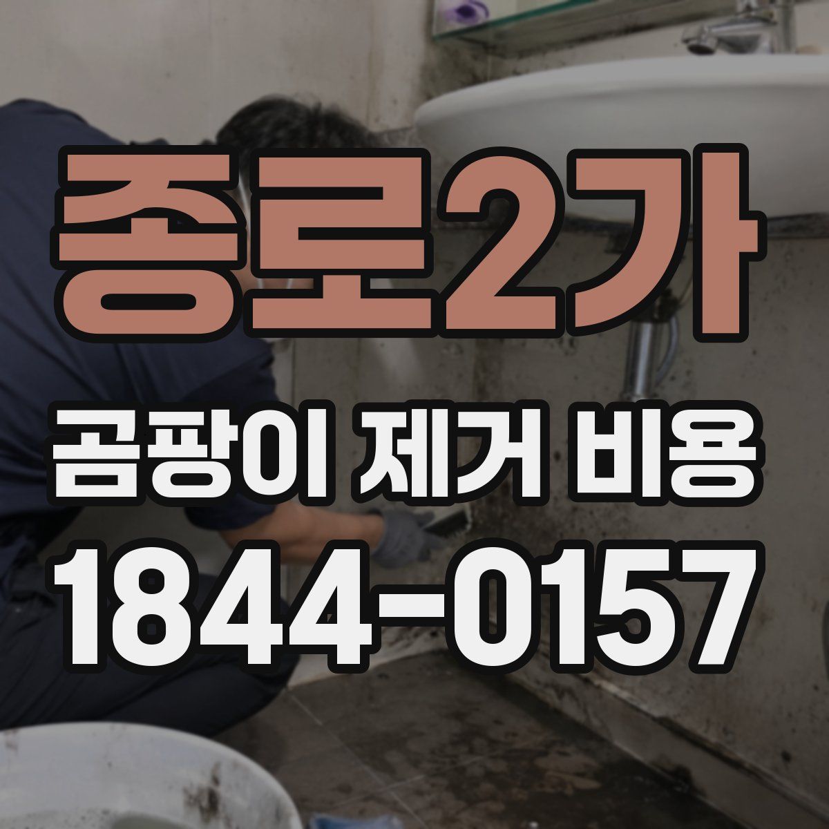 종로2가 곰팡이 제거 비용