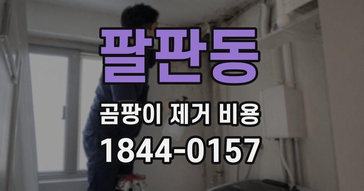 팔판동 곰팡이 제거 비용