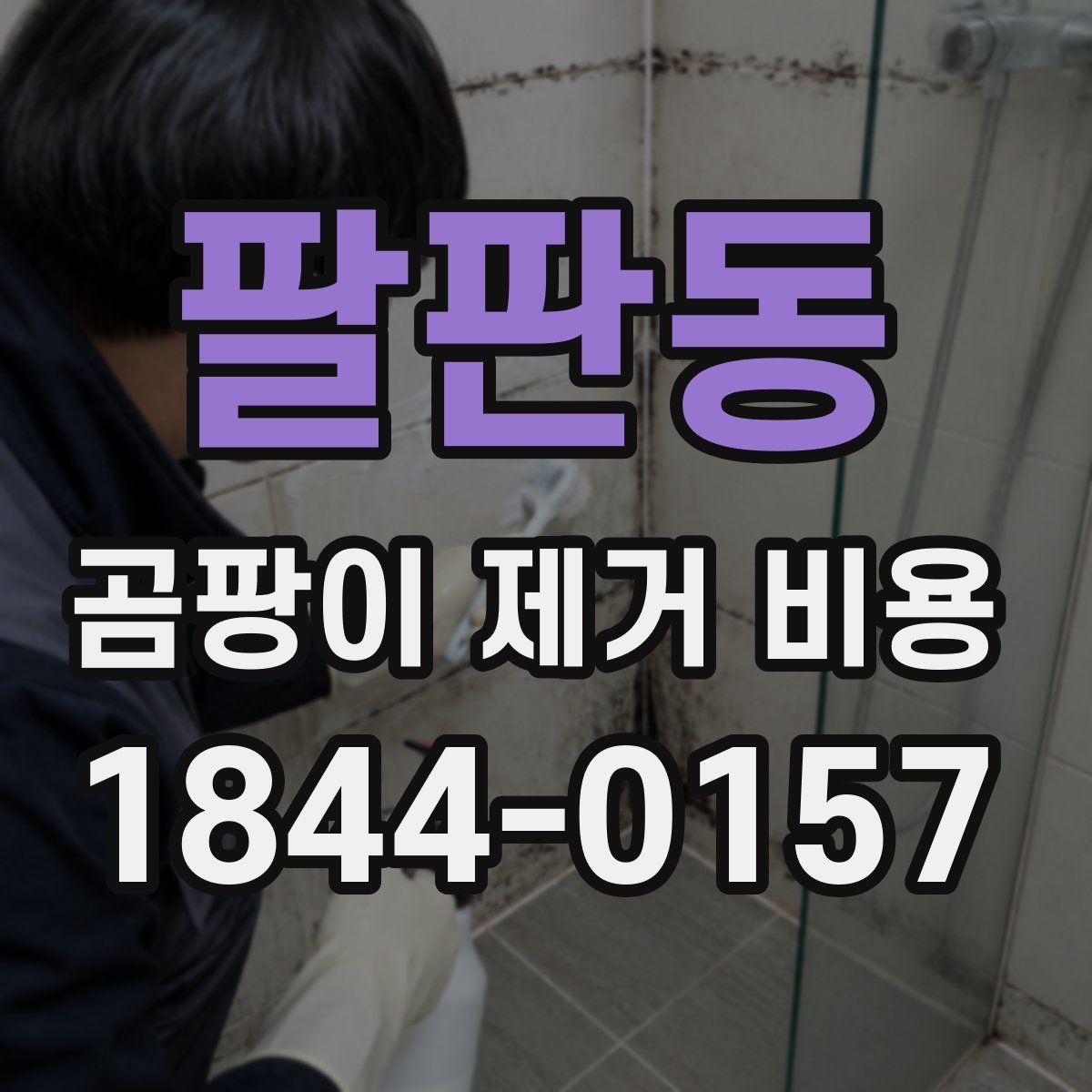 팔판동 곰팡이 제거 비용