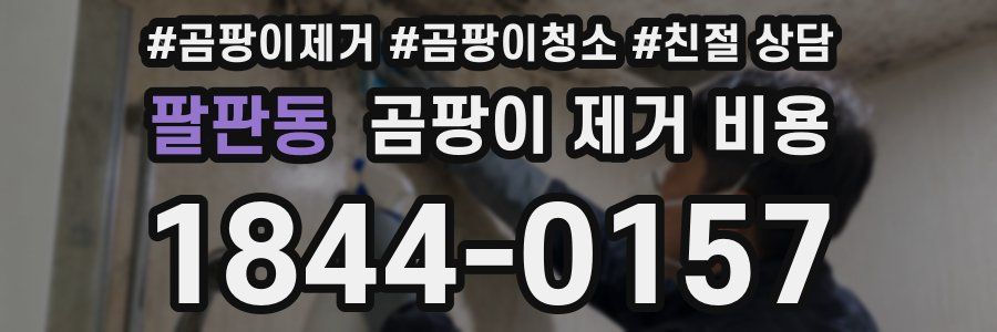 팔판동 곰팡이 제거 비용