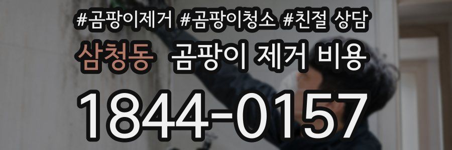 삼청동 곰팡이 제거 비용