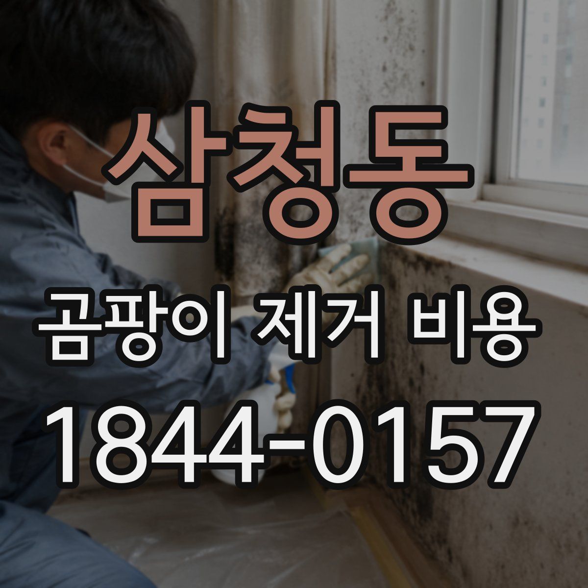 삼청동 곰팡이 제거 비용