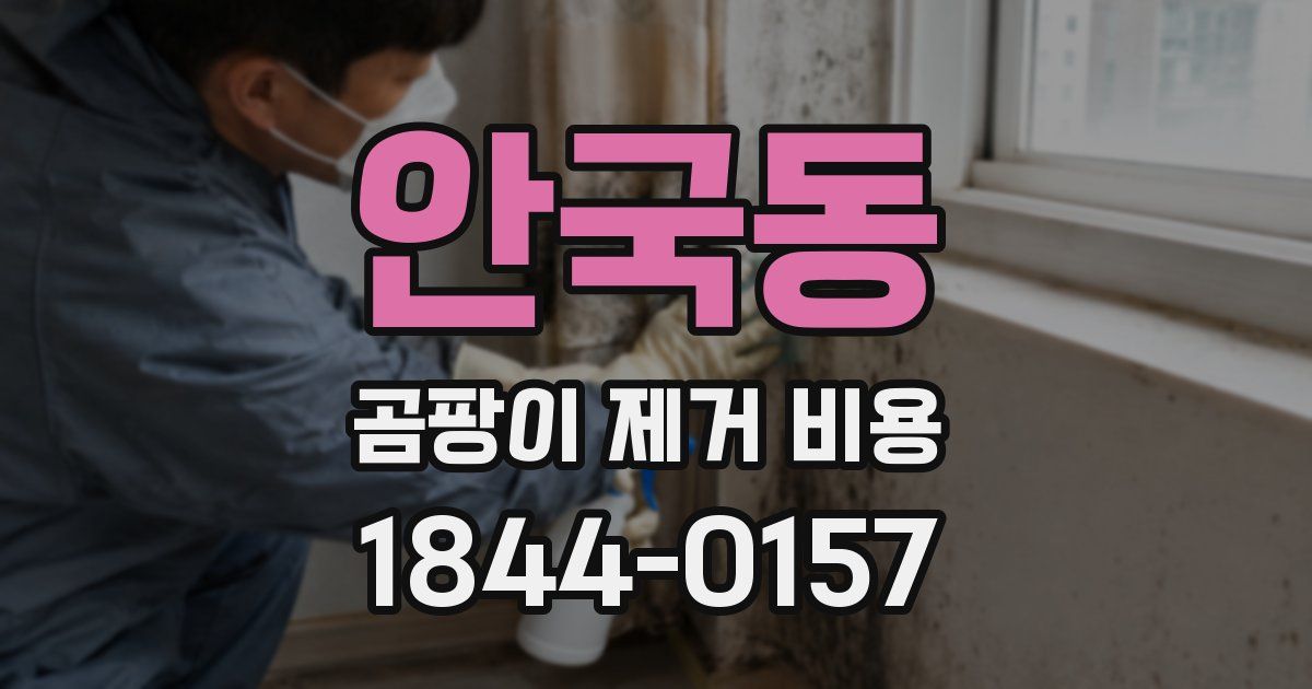 안국동 곰팡이 제거 비용