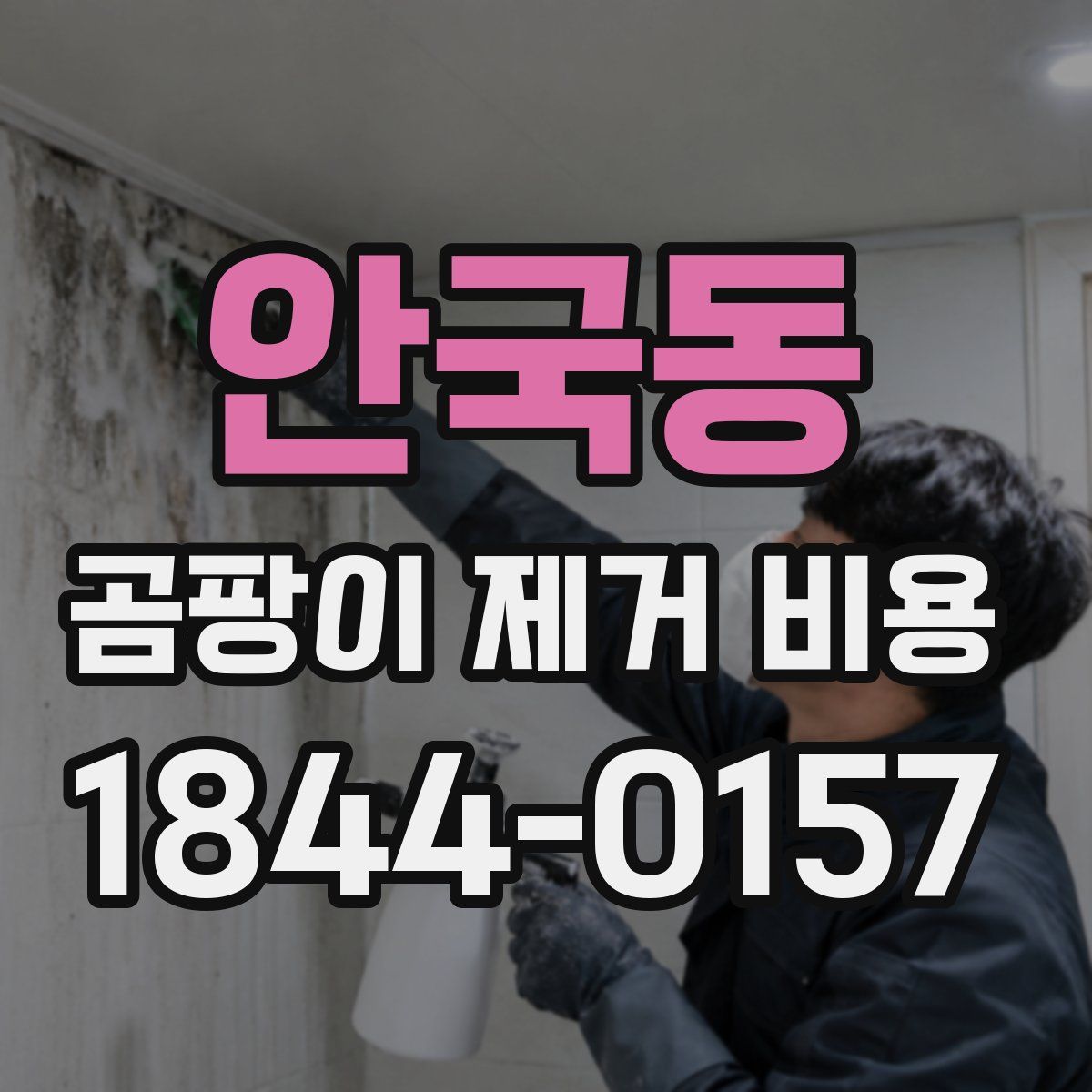 안국동 곰팡이 제거 비용