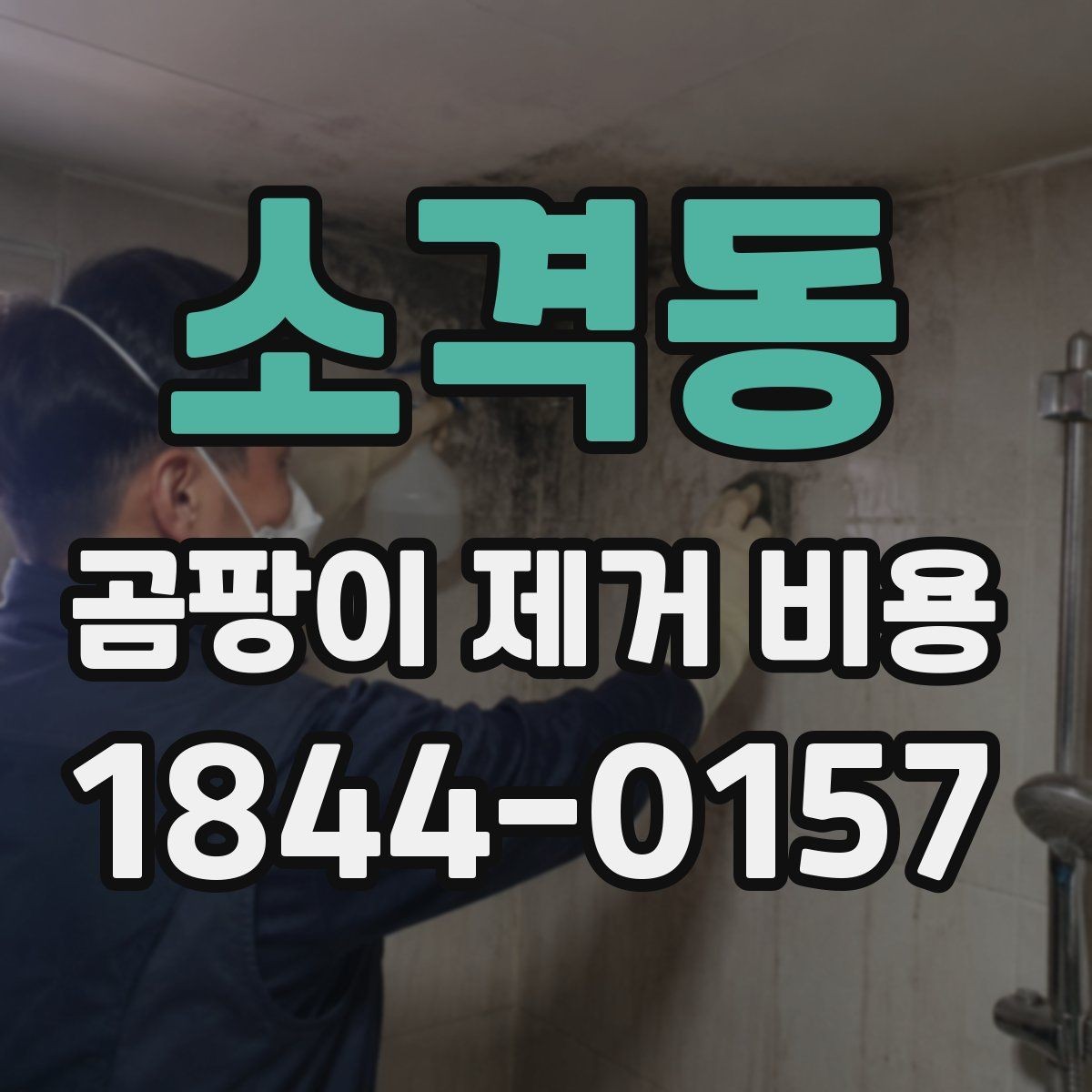 소격동 곰팡이 제거 비용 합리적인 선택을 위한 비교 기준
