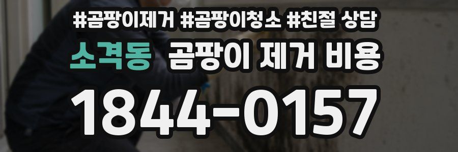 소격동 곰팡이 제거 비용
