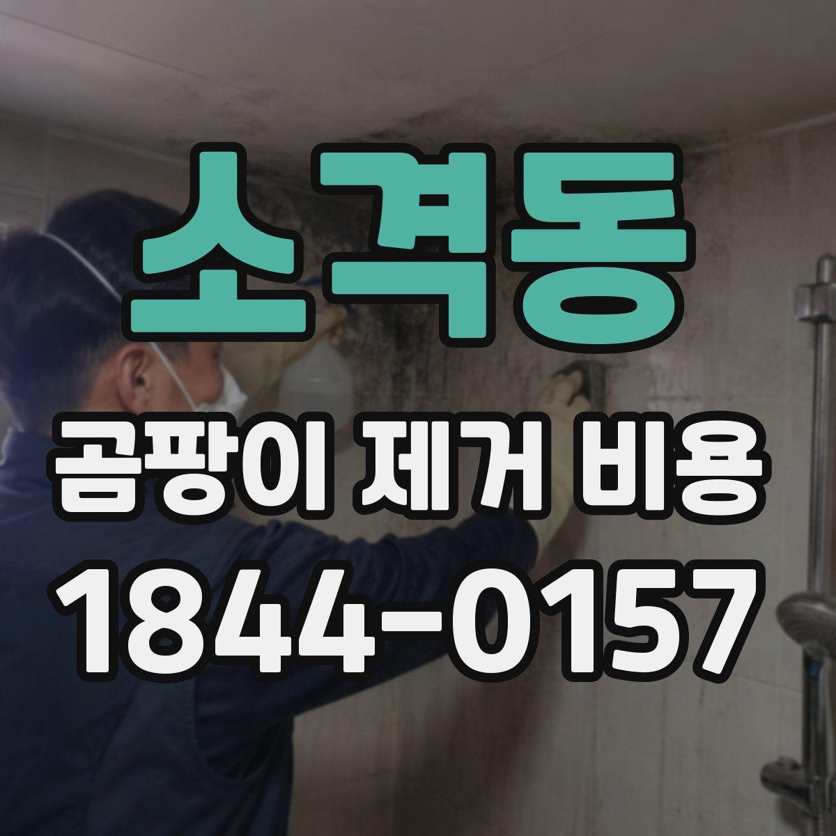 소격동 곰팡이 제거 비용