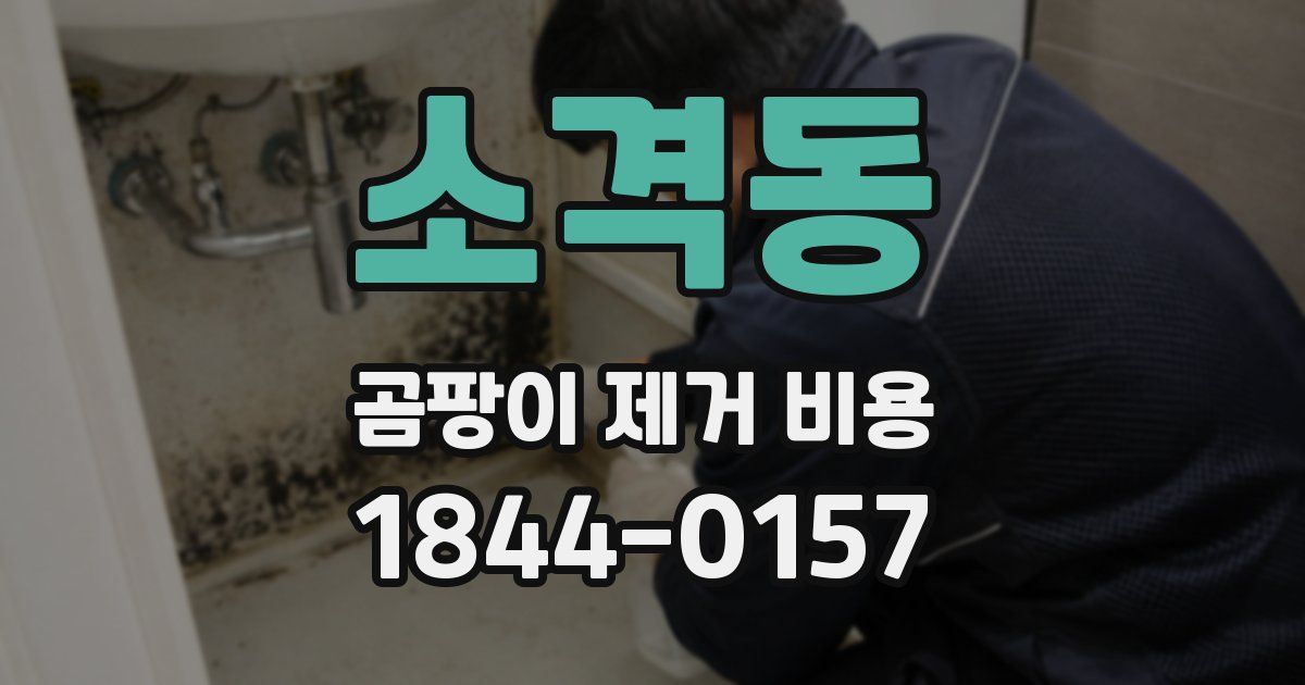 소격동 곰팡이 제거 비용