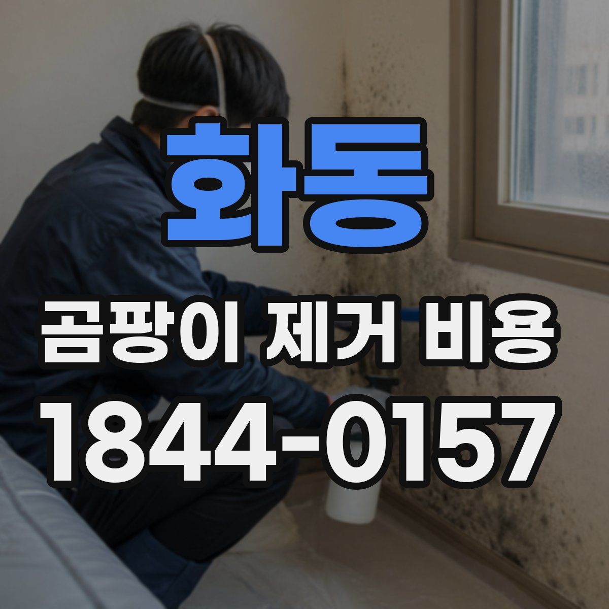 화동 곰팡이 제거 비용