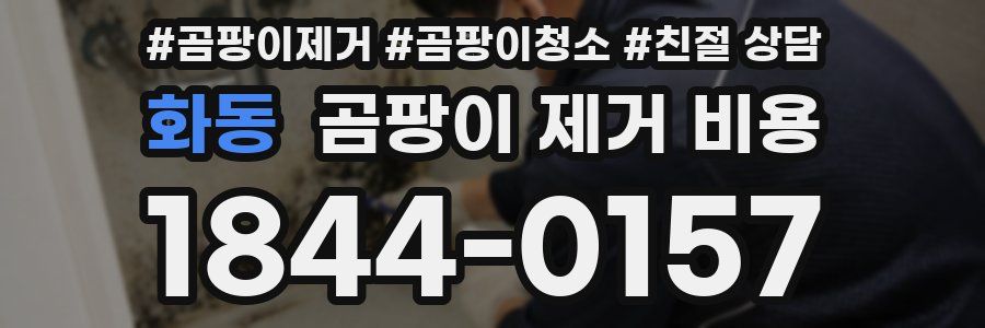 화동 곰팡이 제거 비용
