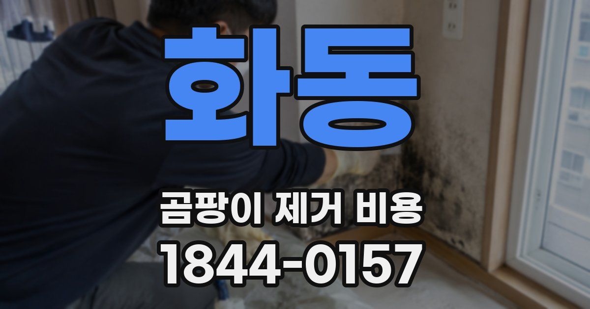 화동 곰팡이 제거 비용