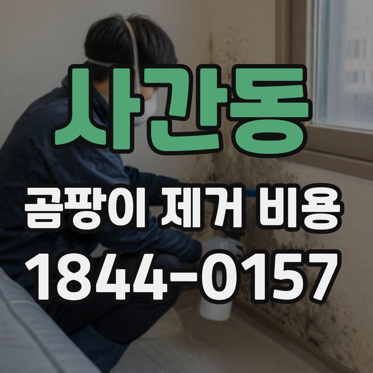 사간동 곰팡이 제거 비용