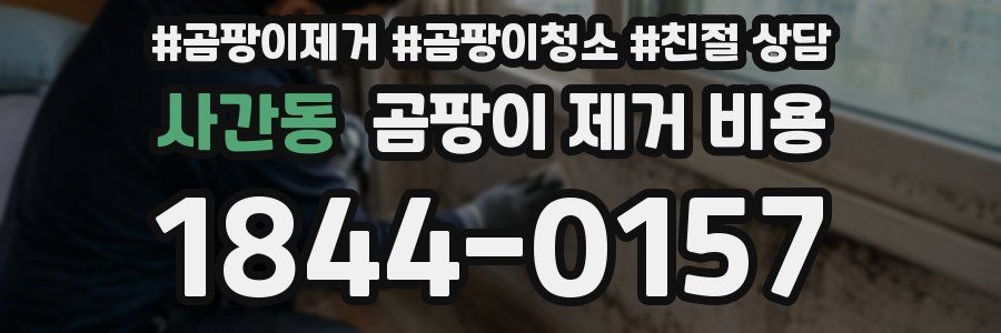 사간동 곰팡이 제거 비용