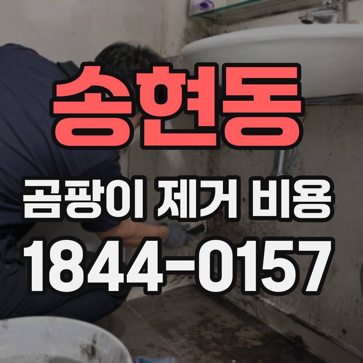 송현동 곰팡이 제거 비용