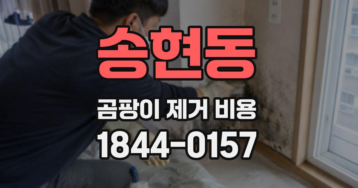 송현동 곰팡이 제거 비용