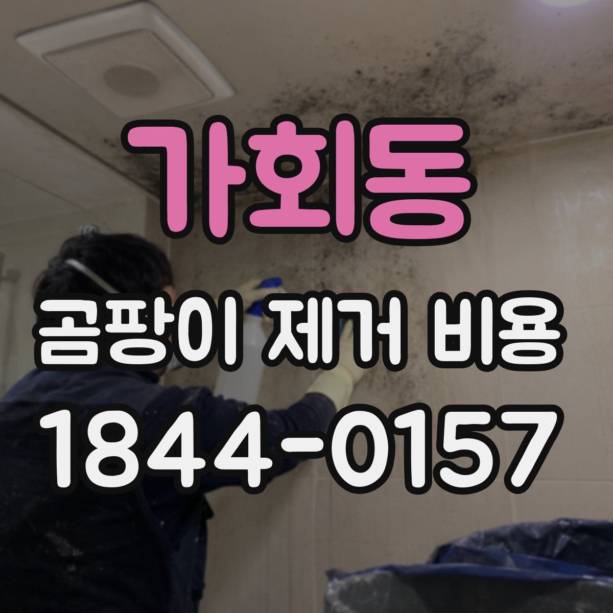 가회동 곰팡이 제거 비용