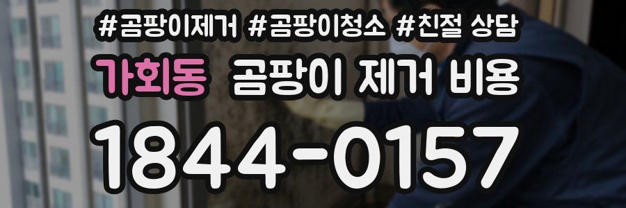 가회동 곰팡이 제거 비용