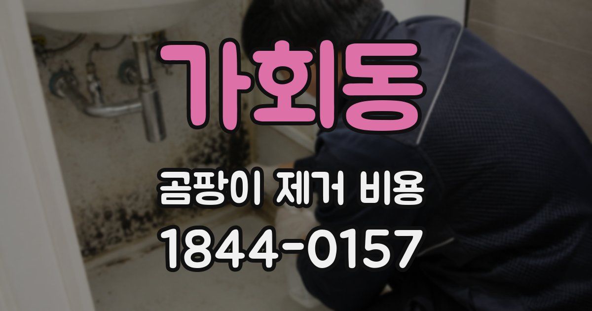 가회동 곰팡이 제거 비용