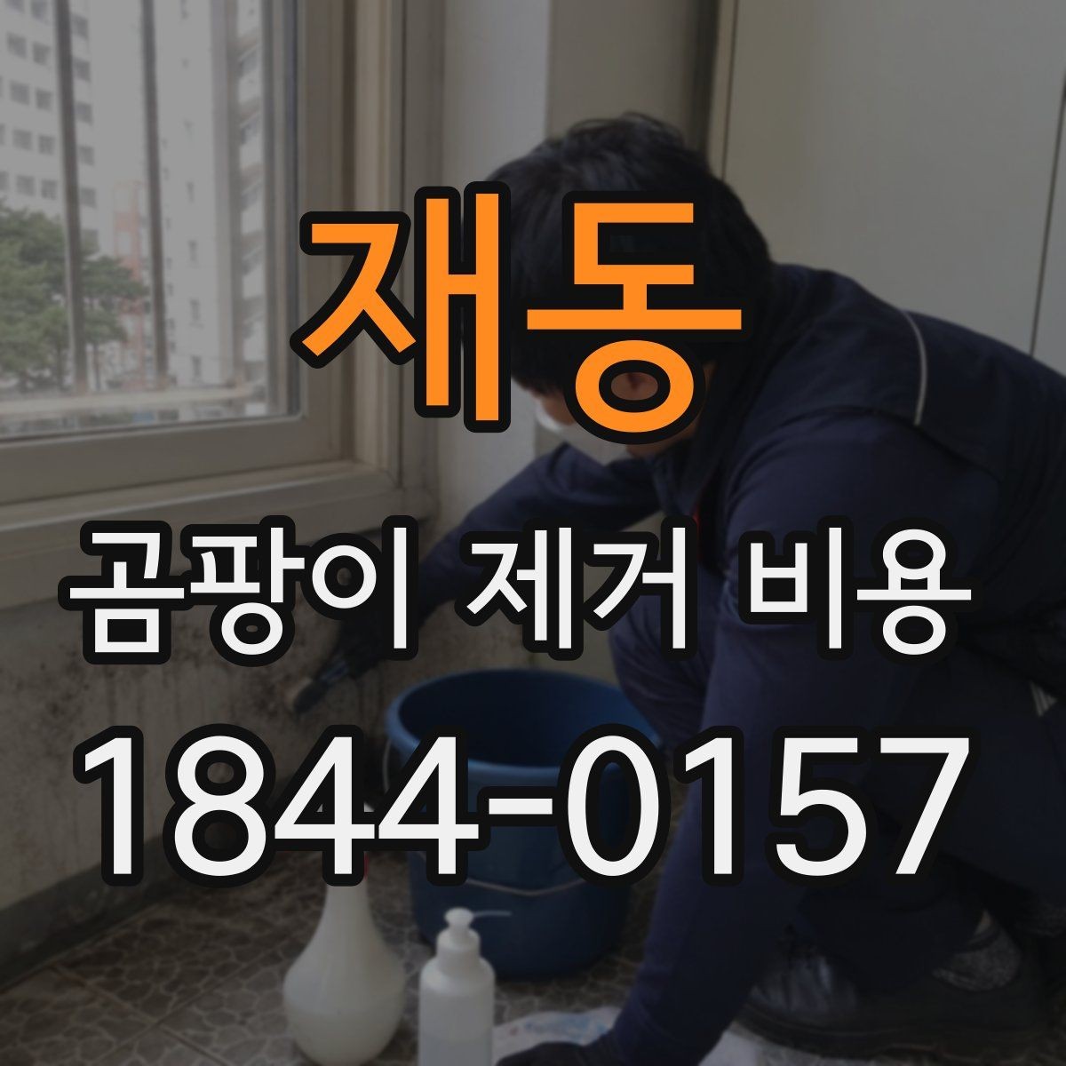 재동 곰팡이 제거 비용 견적을 받을 때 비교해야 할 순서