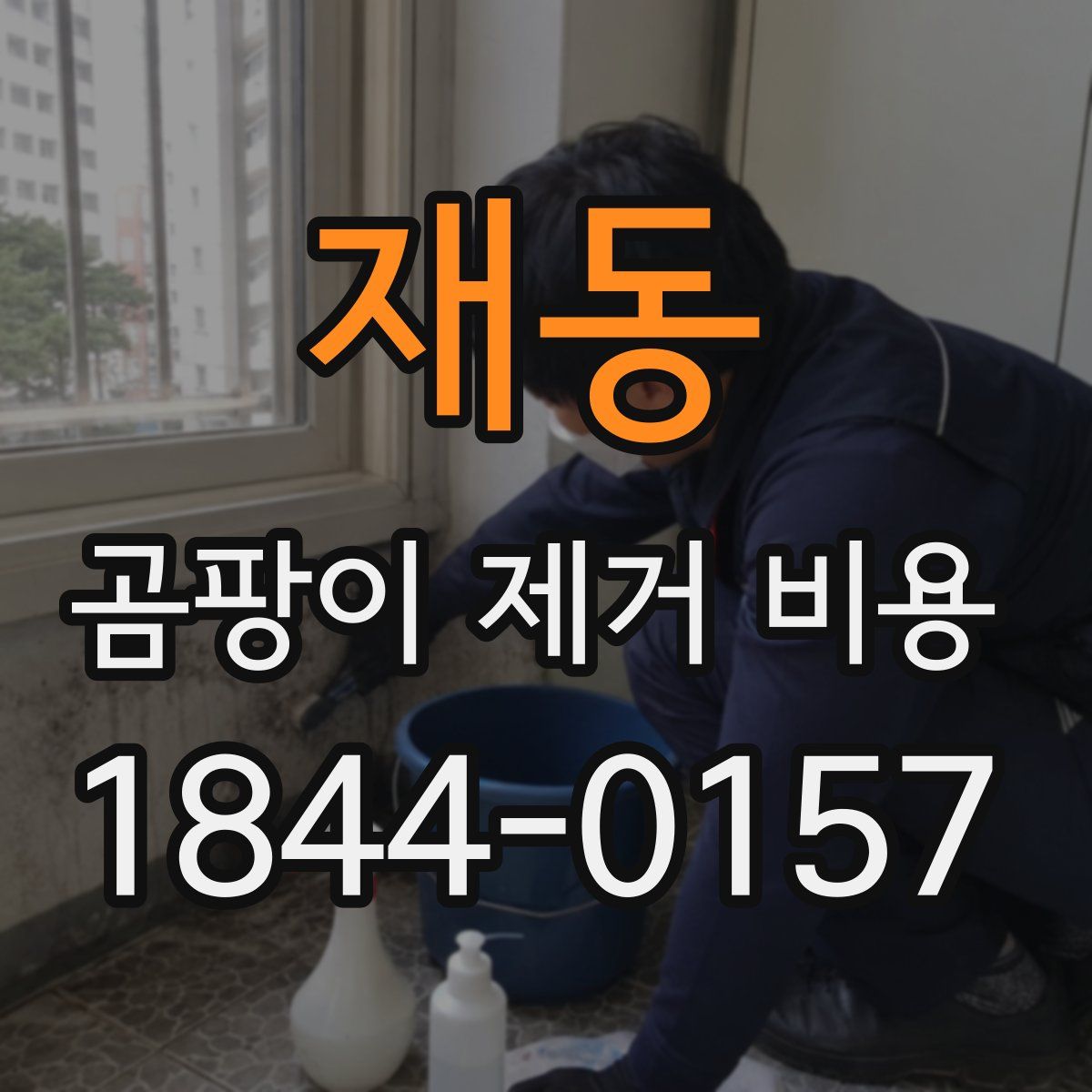 재동 곰팡이 제거 비용