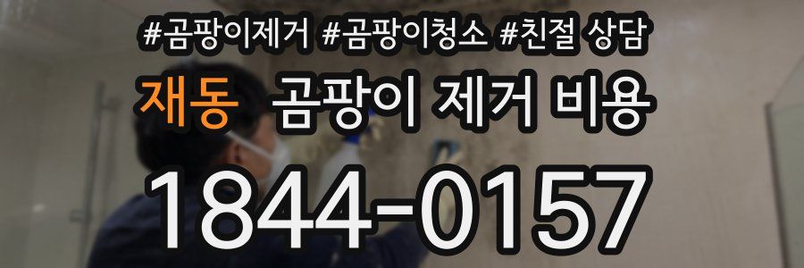 재동 곰팡이 제거 비용