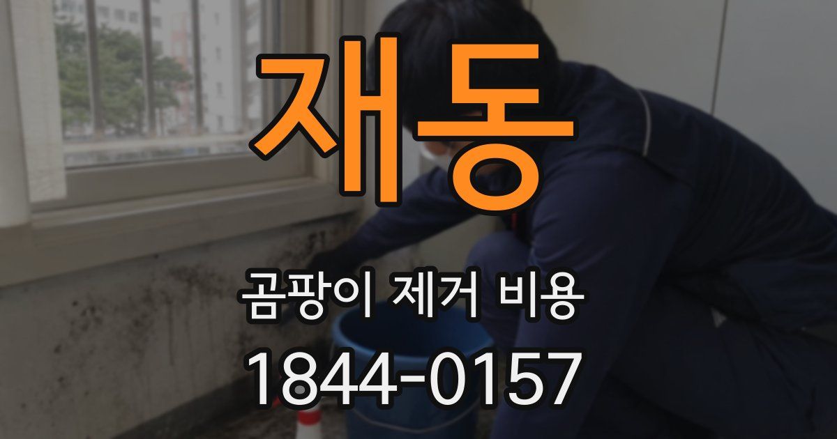 재동 곰팡이 제거 비용