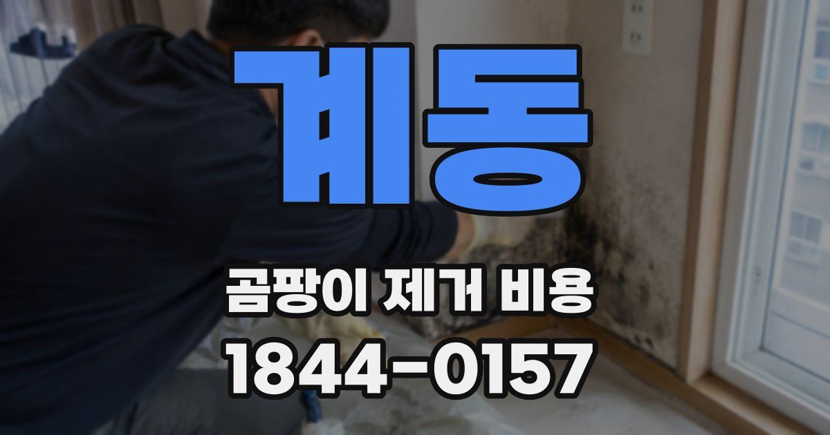 계동 곰팡이 제거 비용