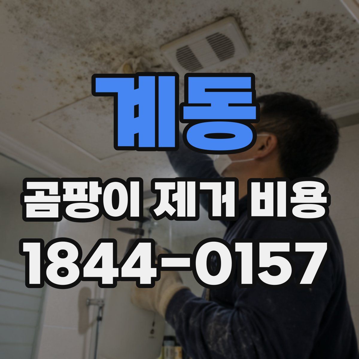 계동 곰팡이 제거 비용