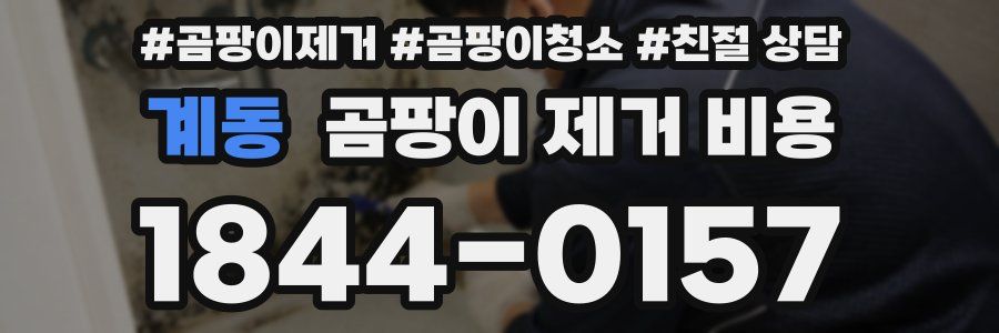 계동 곰팡이 제거 비용