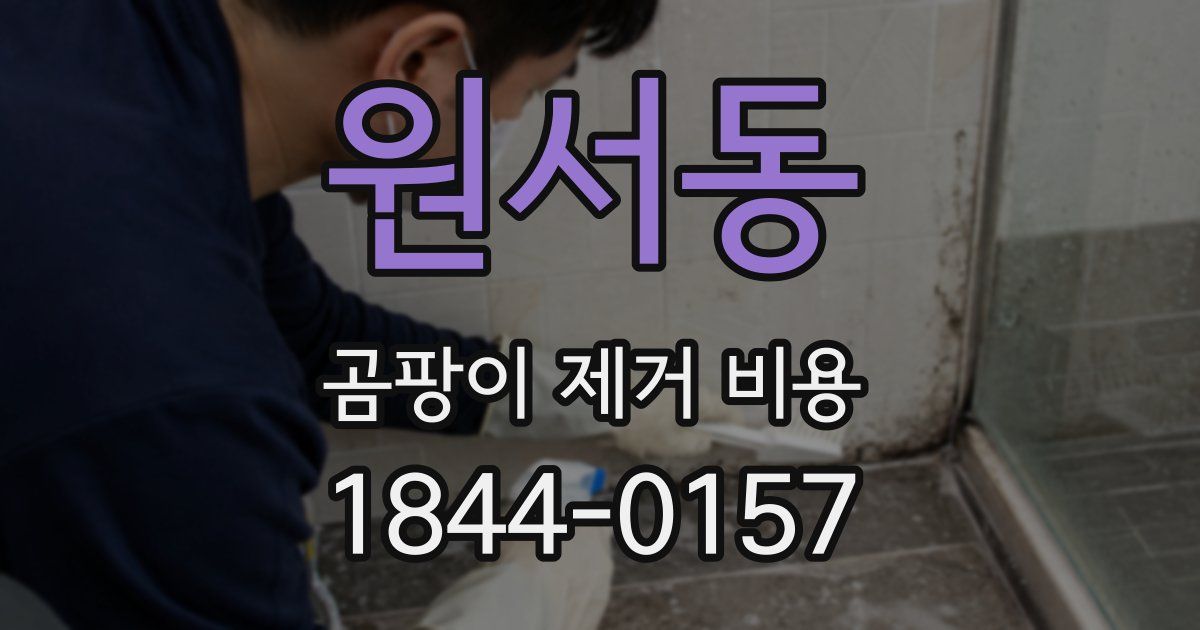 원서동 곰팡이 제거 비용