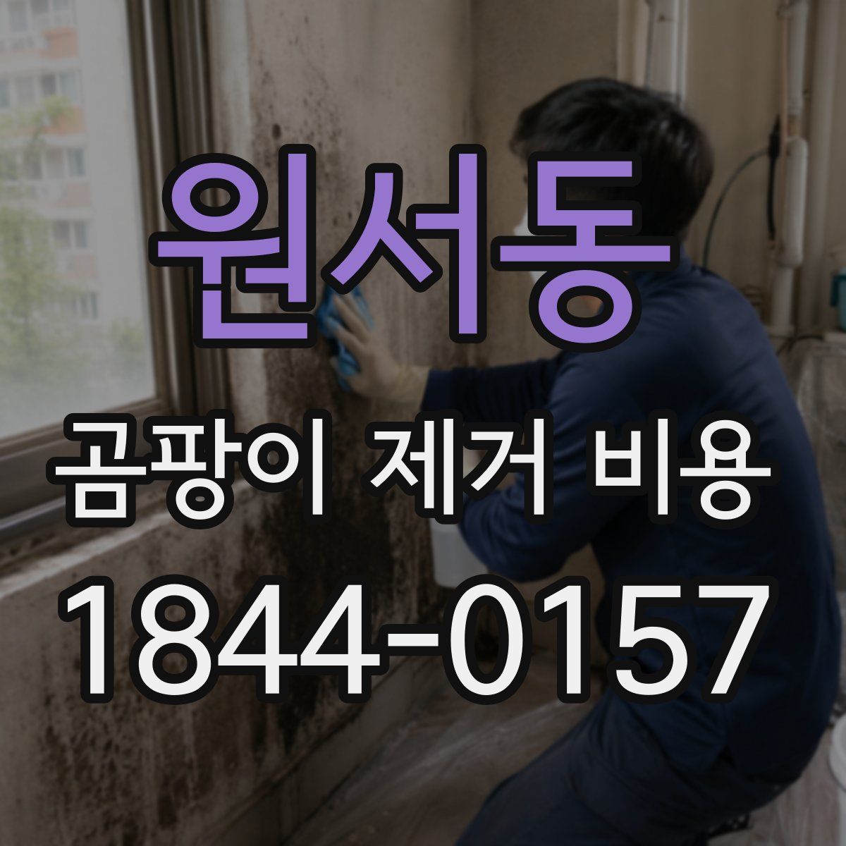원서동 곰팡이 제거 비용