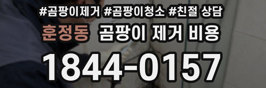 훈정동 곰팡이 제거 비용